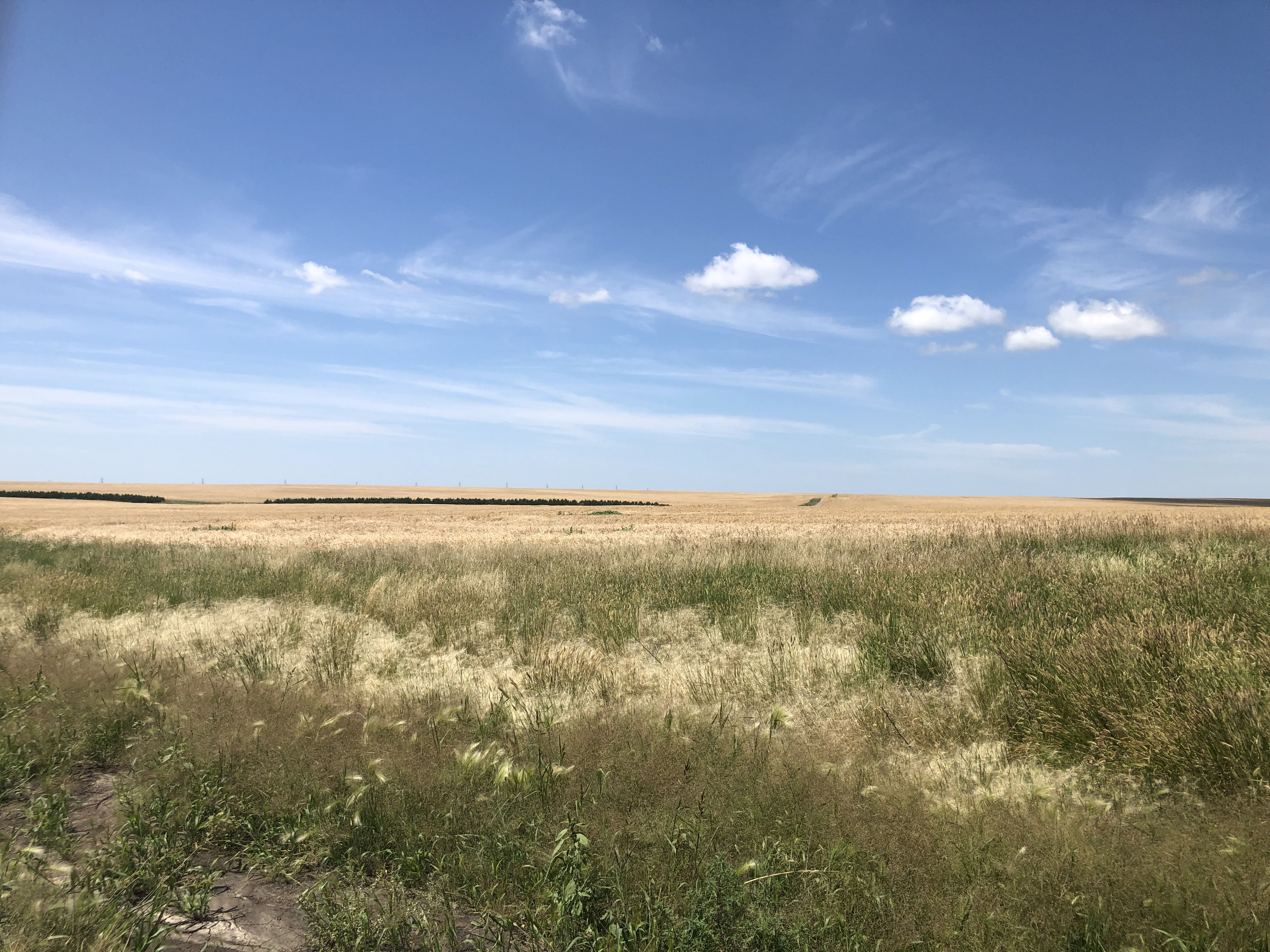 Buffalo County Farm Land Hall and Hall